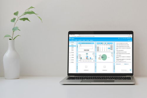 免費(fèi)裝修管理軟件靠譜嗎？——兼談軟件外包服務(wù)的優(yōu)勢(shì)與選擇
